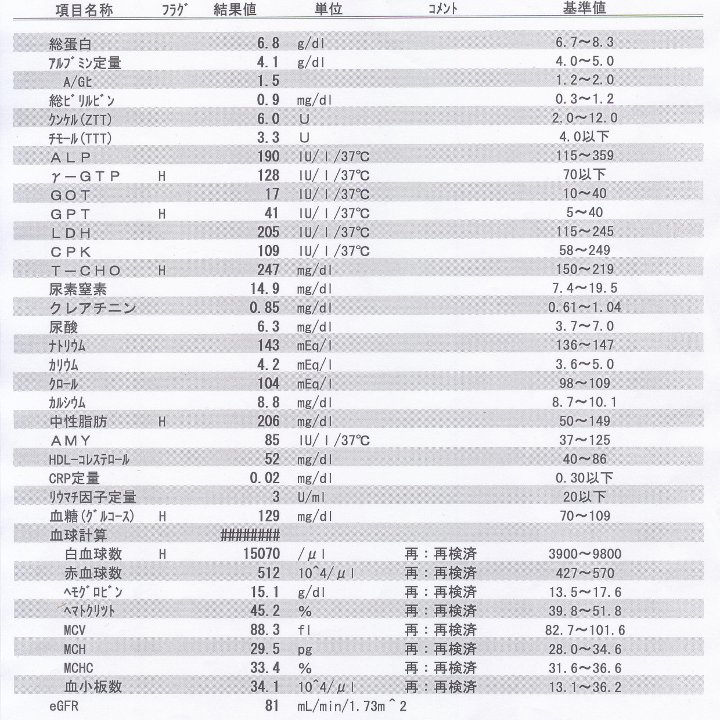 血液検査の結果