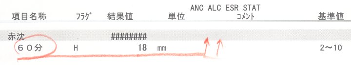 血液検査の結果2