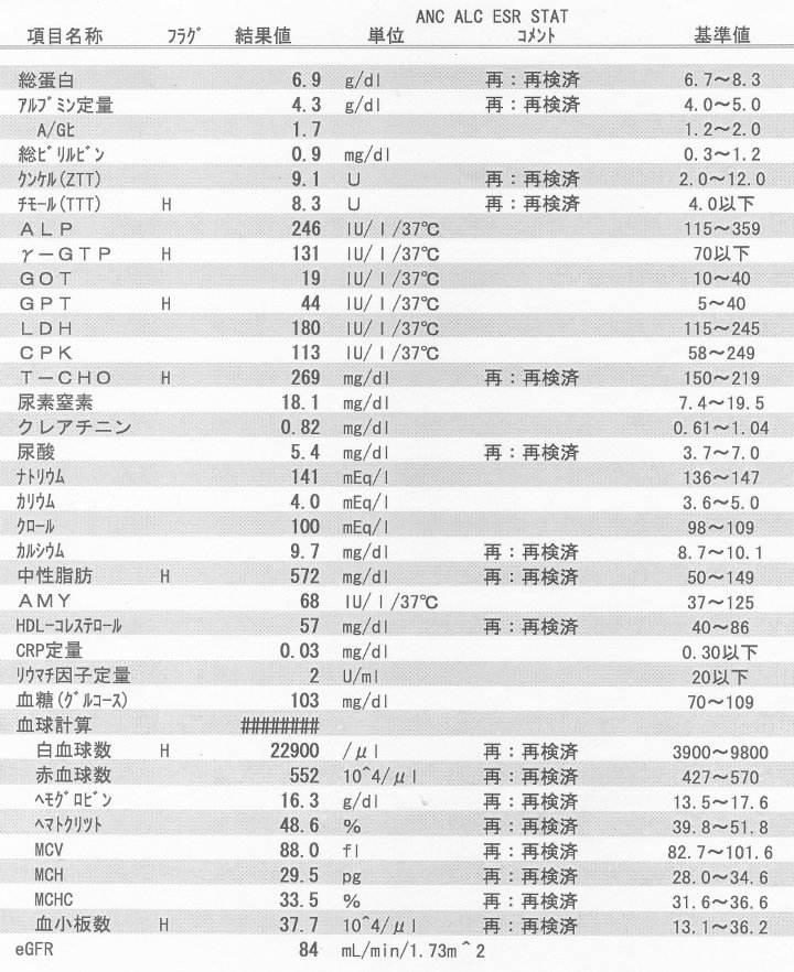 血液検査の結果